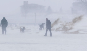 Blizzard and Cold Snap Devastate United States Blizzard and Cold Snap Devastate United States