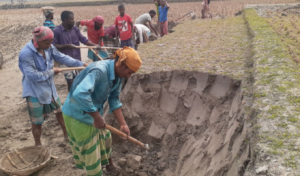 Brick Kilns Destroy Agricultural Topsoil in Four Districts Brick Kilns Destroy Agricultural Topsoil in Four Districts