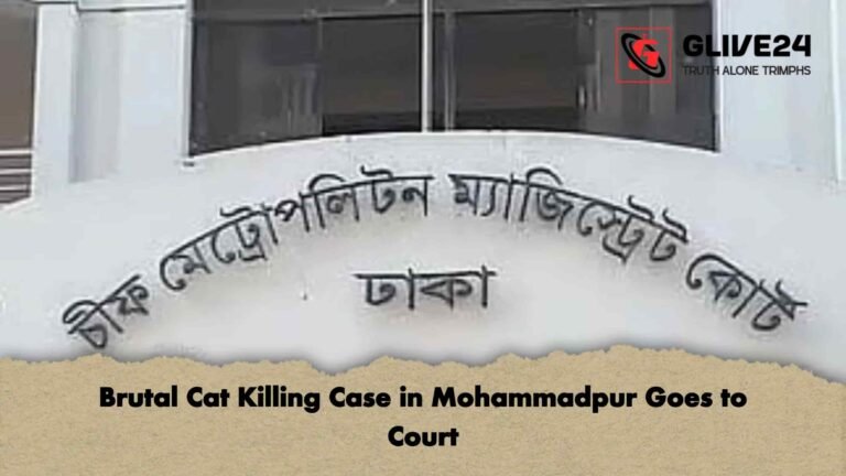 Brutal Cat Killing Case in Mohammadpur Goes to Court