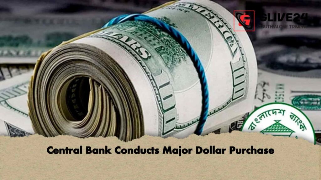 Central Bank Conducts Major Dollar Purchase 3 Central Bank Conducts Major Dollar Purchase