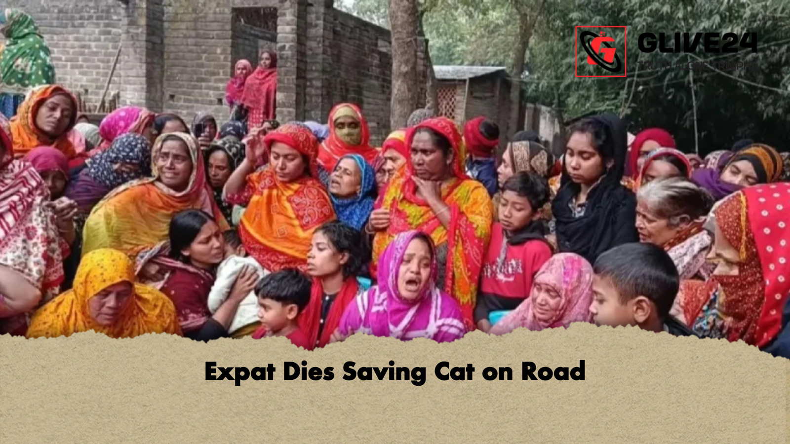 Expat Dies Saving Cat on Road Expat Dies Saving Cat on Road
