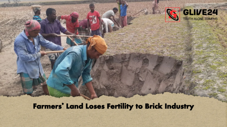Farmers Land Loses Fertility to Brick Industry Farmers’ Land Loses Fertility to Brick Industry