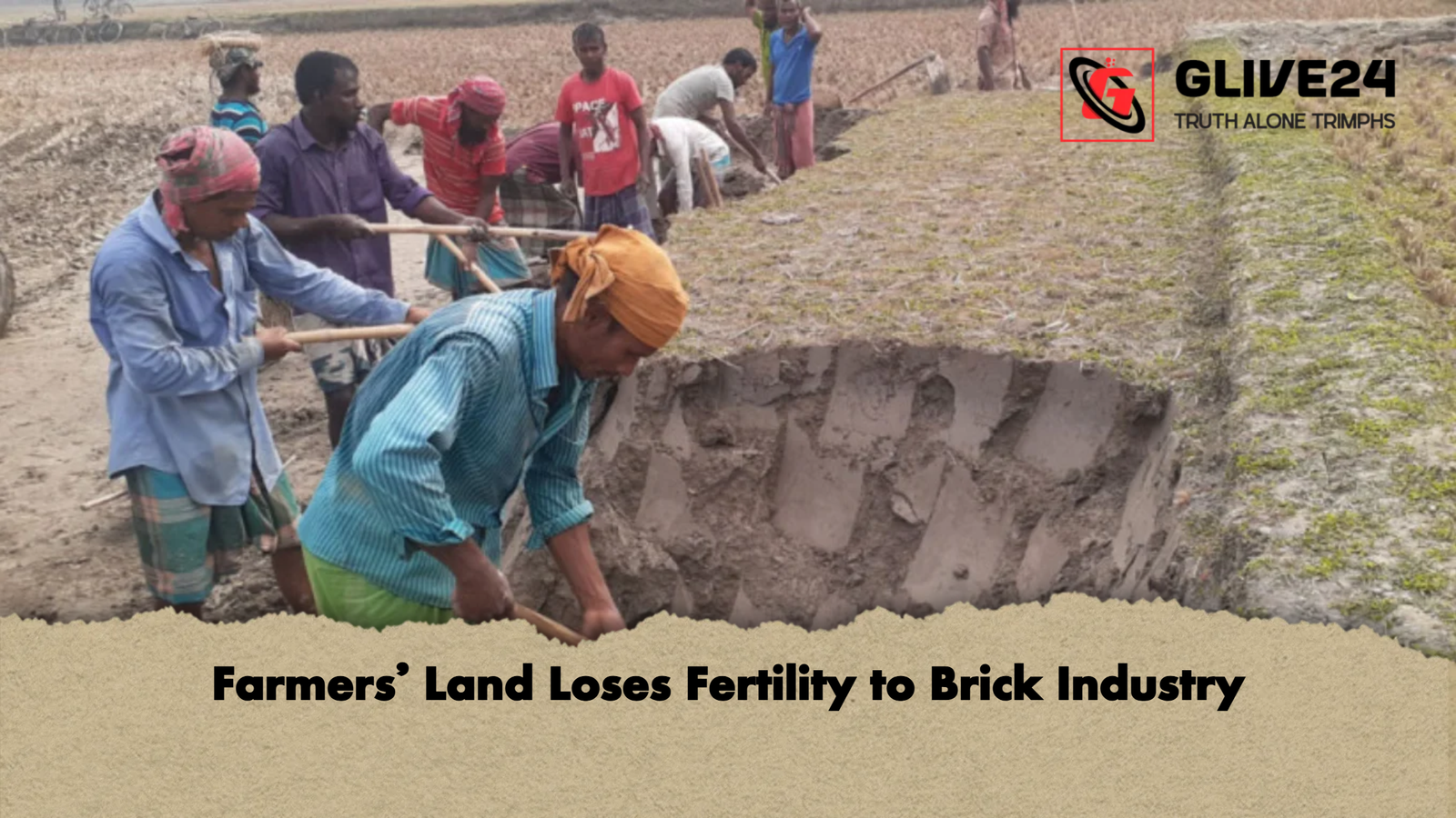 Farmers Land Loses Fertility to Brick Industry Farmers’ Land Loses Fertility to Brick Industry