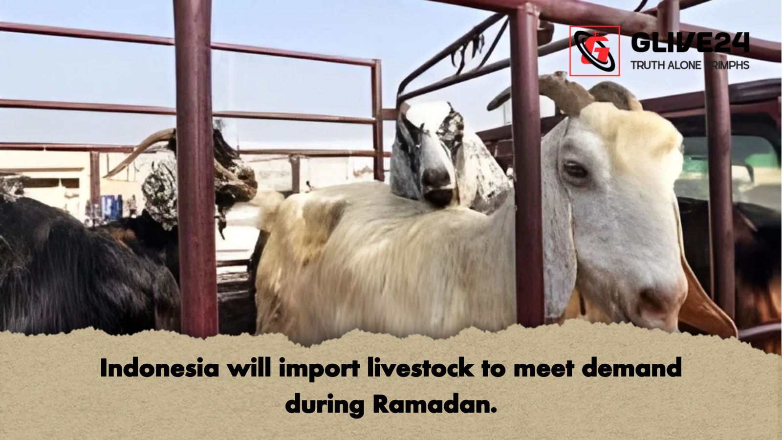 Indonesia will import livestock to meet demand during Ramadan Indonesia will import livestock to meet demand during Ramadan.