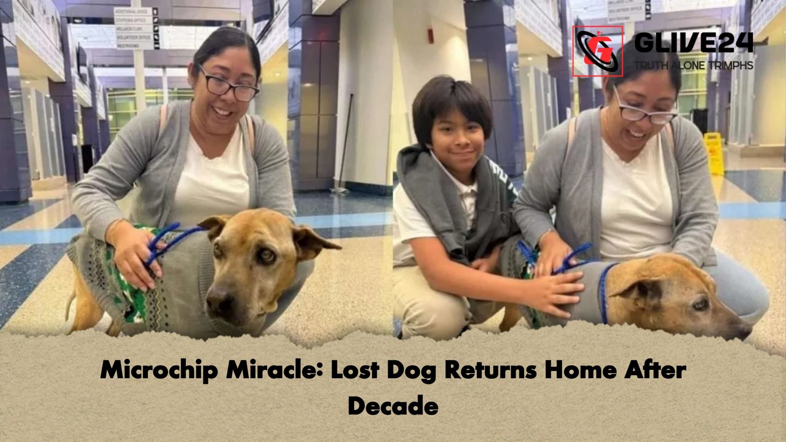 Microchip Miracle: Lost Dog Returns Home After Decade 1 Microchip Miracle Lost Dog Returns Home After Decade Microchip Miracle: Lost Dog Returns Home After Decade