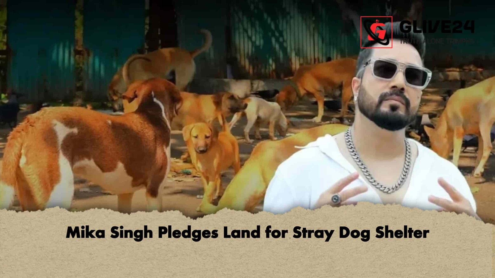 Mika Singh Pledges Land for Stray Dog Shelter