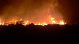 Persistent Blaze Engulfs Matarbari Power Plant Storage Yard Persistent Blaze Engulfs Matarbari Power Plant Storage Yard
