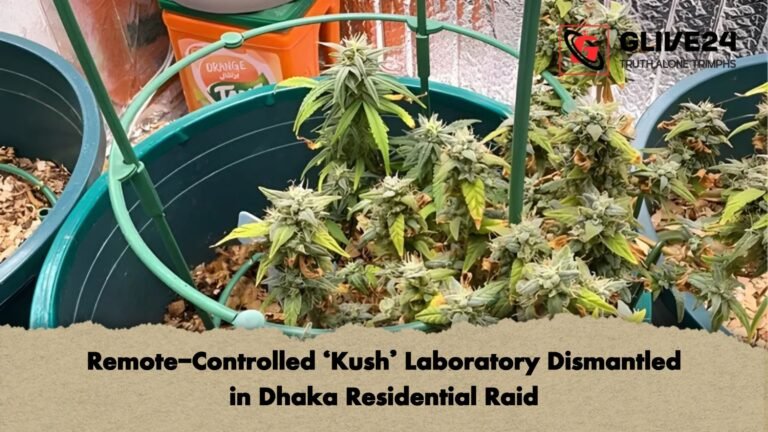 Remote Controlled ‘Kush Laboratory Dismantled in Dhaka Residential Raid Remote-Controlled ‘Kush’ Laboratory Dismantled in Dhaka Residential Raid