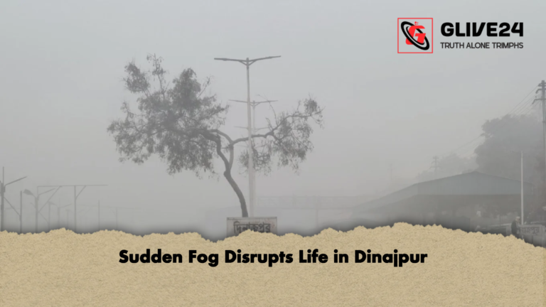 Sudden Fog Disrupts Life in Dinajpur Sudden Fog Disrupts Life in Dinajpur
