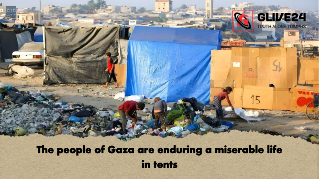 The people of Gaza are enduring a miserable life in tents The people of Gaza are enduring a miserable life in tents