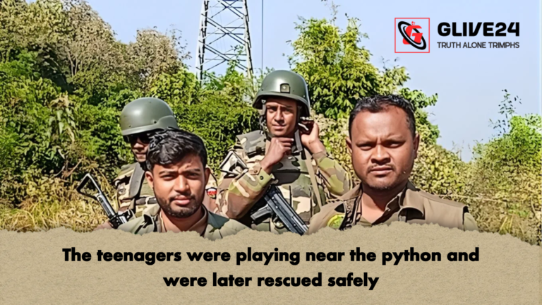 The teenagers were playing near the python and were later rescued safely The teenagers were playing near the python and were later rescued safely
