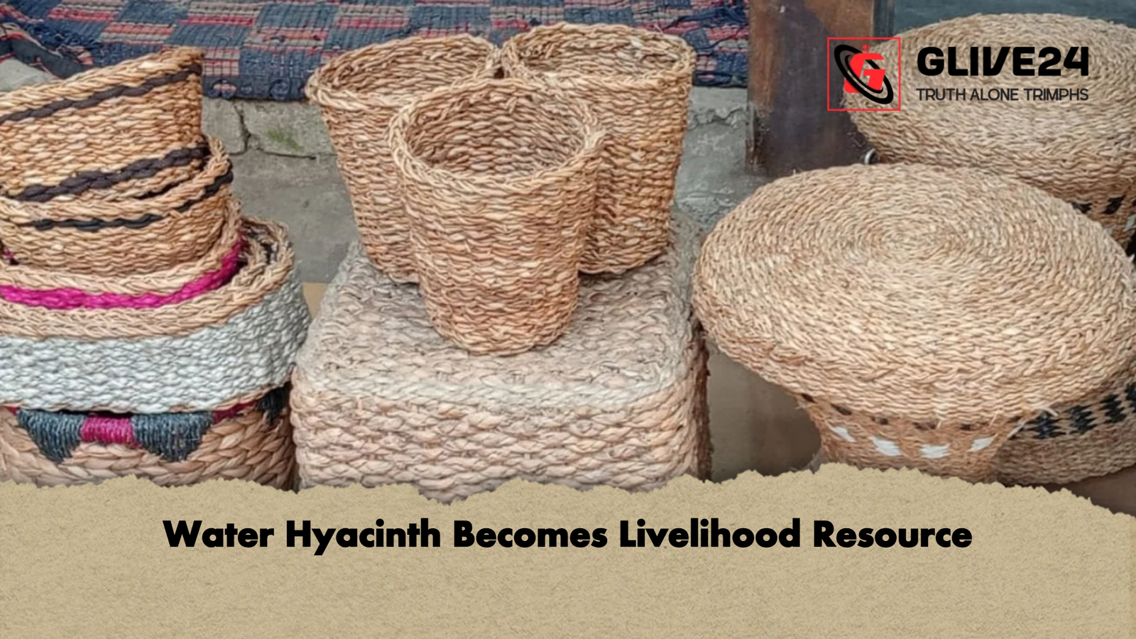 Water Hyacinth Becomes Livelihood Resource Water Hyacinth Becomes Livelihood Resource
