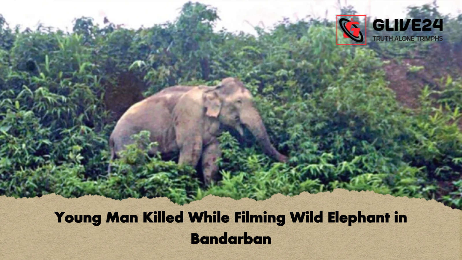 Young Man Killed While Filming Wild Elephant in Bandarban 1 Young Man Killed While Filming Wild Elephant in Bandarban Young Man Killed While Filming Wild Elephant in Bandarban