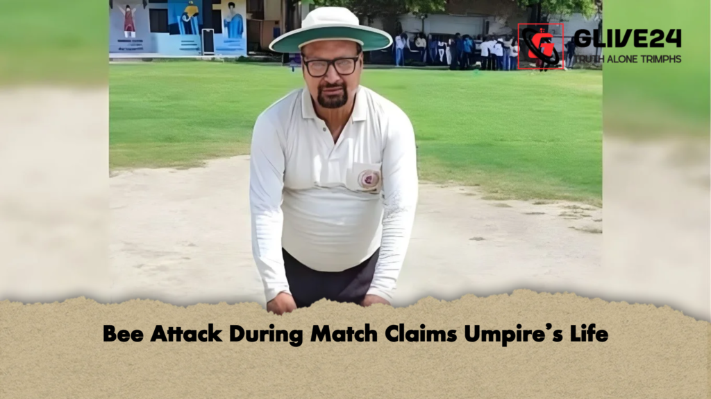 Bee Attack During Match Claims Umpire’s Life 2 Bee Attack During Match Claims Umpires Life Bee Attack During Match Claims Umpire’s Life