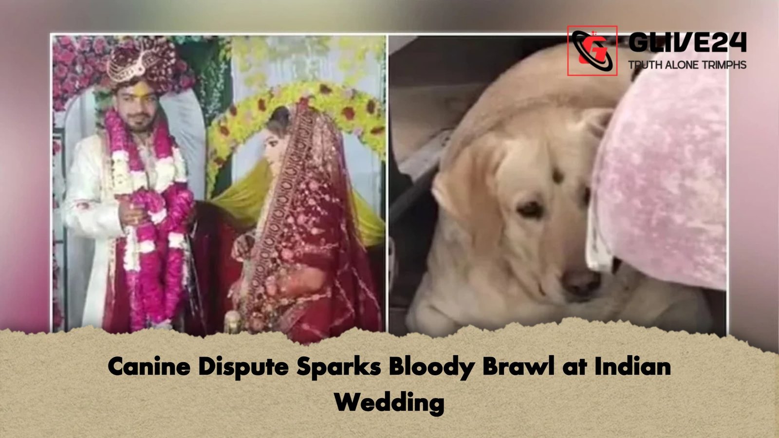 Canine Dispute Sparks Bloody Brawl at Indian Wedding Canine Dispute Sparks Bloody Brawl at Indian Wedding