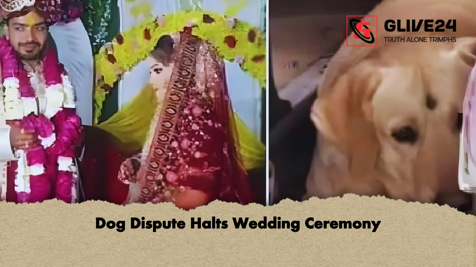 Dog Dispute Halts Wedding Ceremony 1 Dog Dispute Halts Wedding Ceremony Dog Dispute Halts Wedding Ceremony