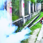 Mosquito Infestation Plagues Urban Bangladesh Mosquito Menace Plagues Urban Bangladesh