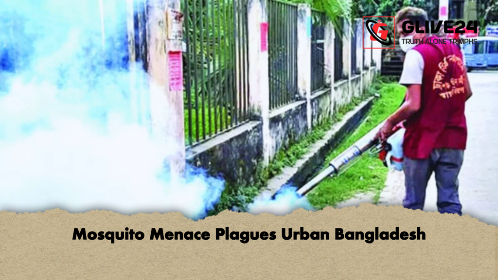 Mosquito Menace Plagues Urban Bangladesh 3 Mosquito Menace Plagues Urban Bangladesh Mosquito Menace Plagues Urban Bangladesh