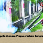 Mosquito Menace Plagues Urban Bangladesh Mosquito Menace Plagues Urban Bangladesh