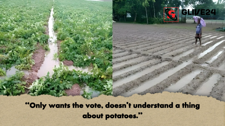 Only wants the vote doesnt understand a thing about potatoes "Only wants the vote, doesn't understand a thing about potatoes."