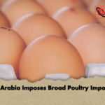 Saudi Arabia Imposes Broad Poultry Import Ban Saudi Arabia Imposes Broad Poultry Import Ban