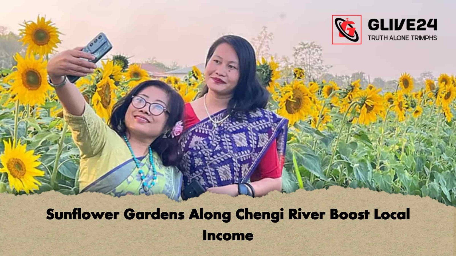 Sunflower Gardens Along Chengi River Boost Local Income