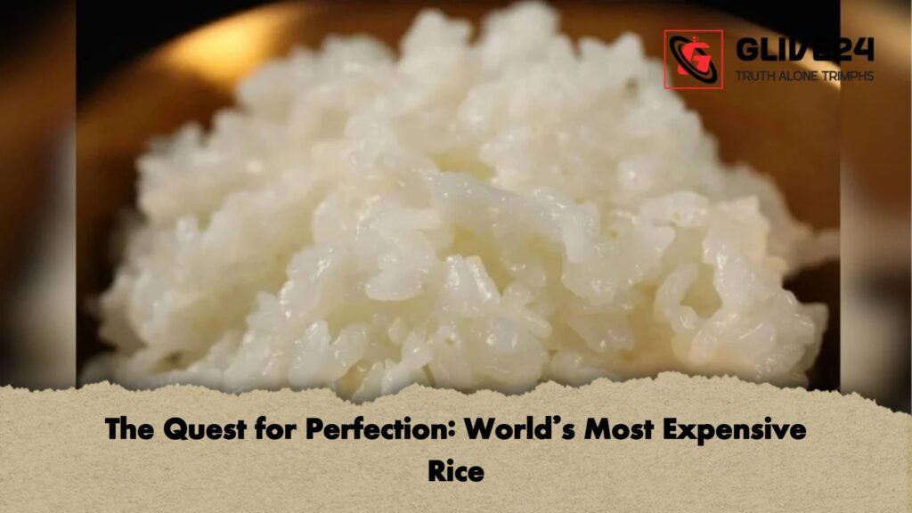 The Quest for Perfection: World’s Most Expensive Rice 2 The Quest for Perfection Worlds Most Expensive Rice The Quest for Perfection: World’s Most Expensive Rice