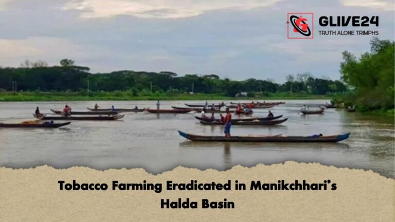 Tobacco Farming Eradicated in Manikchharis Halda Basin Tobacco Farming Eradicated in Manikchhari’s Halda Basin