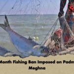 Two-Month Fishing Ban Imposed on Padma and Meghna