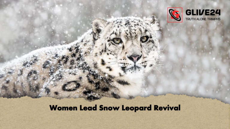 Women Lead Snow Leopard Revival Women Lead Snow Leopard Revival