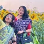 নদীর পাড়ে সূর্যমুখী বাগান দর্শনার্থী এবং কৃষকদের আয় Sunflower Gardens Along Chengi River Boost Local Income