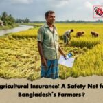 Agricultural Insurance A Safety Net for Bangladeshs Farmers Agricultural Insurance: A Safety Net for Bangladesh’s Farmers?