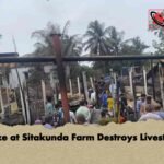 Blaze at Sitakunda Farm Destroys Livestock