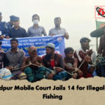Chandpur Mobile Court Jails 14 for Illegal Hilsa Fishing Chandpur Mobile Court Jails 14 for Illegal Hilsa Fishing
