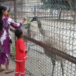 Childrens Delight at Dhaka Zoo on Eid Children’s Delight at Dhaka Zoo on Eid