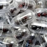 Chinese National Arrested for Attempted Ant Smuggling Chinese National Arrested for Attempted Ant Smuggling