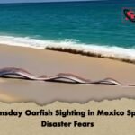 Doomsday Oarfish Sighting in Mexico Sparks Disaster Fears Doomsday Oarfish Sighting in Mexico Sparks Disaster Fears