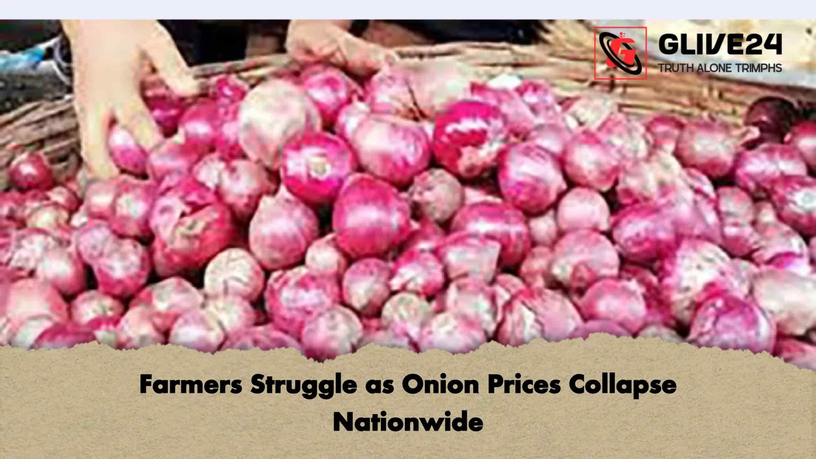 Farmers Struggle as Onion Prices Collapse Nationwide