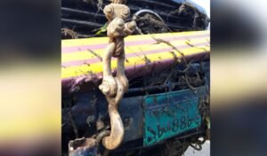 Four Dead in Horrific Pickup Accident Four Dead in Horrific Pickup Accident