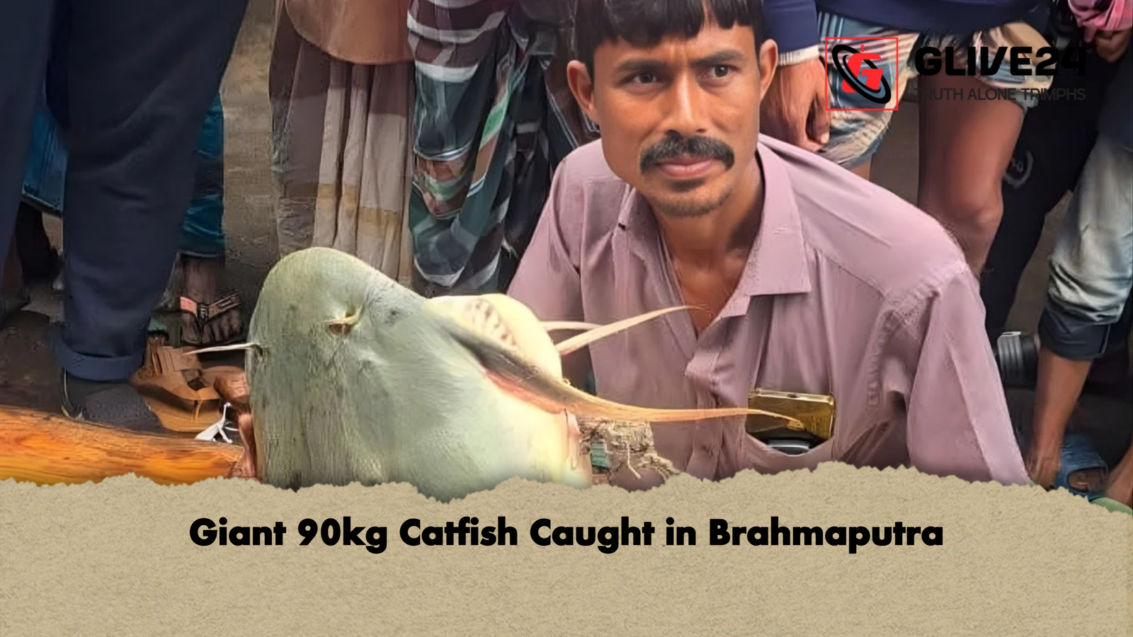 Giant 90kg Catfish Caught in Brahmaputra Giant 90kg Catfish Caught in Brahmaputra