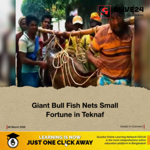 Giant Bull Fish Nets Small Fortune in Teknaf Giant Bull Fish Nets Small Fortune in Teknaf