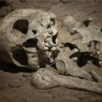 Human Skeleton Found in Garbage Dump in Gazipur Area Human Skeleton Discovered in Gazipur Waste Dump Area