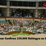 Myanmar Confirms 250000 Rohingya as Citizens Myanmar Confirms 250,000 Rohingya as Citizens