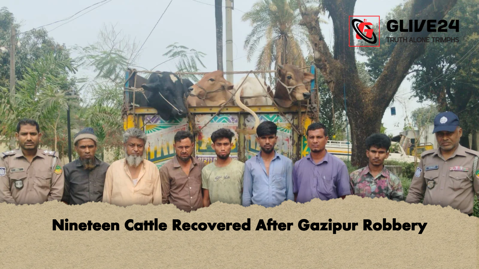 Nineteen Cattle Recovered After Gazipur Robbery Nineteen Cattle Recovered After Gazipur Robbery