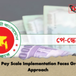 Ninth Pay Scale Implementation Faces Gradual Approach Ninth Pay Scale Implementation Faces Gradual Approach