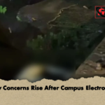 Safety Concerns Rise After Campus Electrocution Safety Concerns Rise After Campus Electrocution