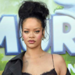 Shooting at Rihannas Home Suspect Arrested Life Sentence Possible Gunfire at Rihanna’s Home: Suspect Identified