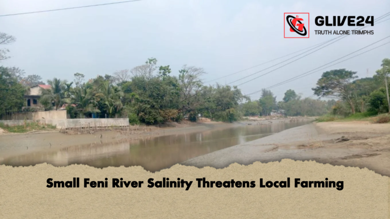 Small Feni River Salinity Threatens Local Farming Small Feni River Salinity Threatens Local Farming