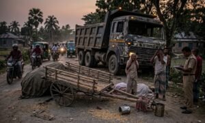 Truck Accident in Kotiaadi Kills Farmer Cattle Truck Accident in Kotiaadi Kills Farmer, Cattle