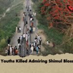 Two Youths Killed Admiring Shimul Blossoms 1 Two Youths Killed Admiring Shimul Blossoms